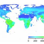 We have more knowledge about the distribution of rare and cryptic species of birds than rare and deadly viruses. Credit; C. Rahbek, L. A. Hansen, J. Fjeldså, One-degree resolution database of the global distribution of birds (The Natural History Museum, University of Copenhagen, Copenhagen, Denmark, 2012)