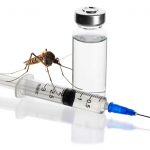 Zika Vaccine