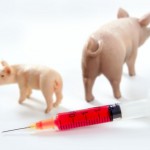 Swine flu: learning from past mistakes