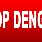 dengue_words