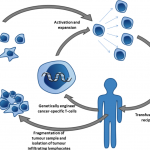 Adoptive_T-cell_therapy