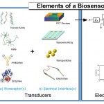 Biosensor_System
