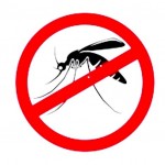 stop mosquitos