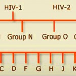 HIV_groups