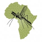malaria africa