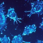 cancer_cells