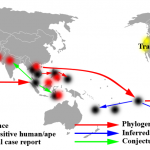 Zika_phylogenetic_analysis_map