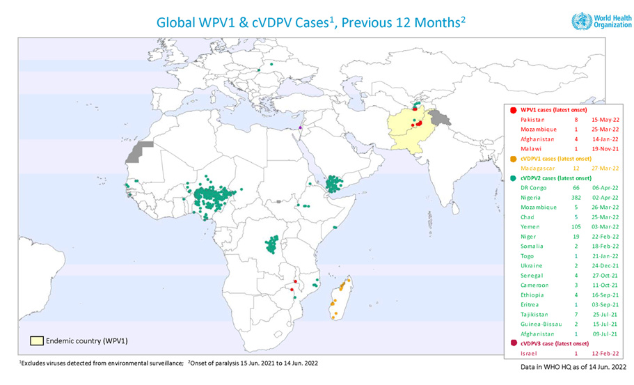 Number of WPV1 and cVDPV in each country affected in the last 12 months