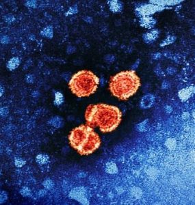 Hepatitis B Virus Colorized transmission electron micrograph of hepatitis B virus particles (colorized red and yellow). Credit: NIAID and CDC (Transmission electron micrograph image courtesy of CDC; colorization by NIAID).